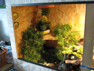 Terrarium_1